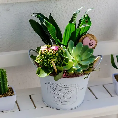 Magellan Deluxe Two Dubrownik